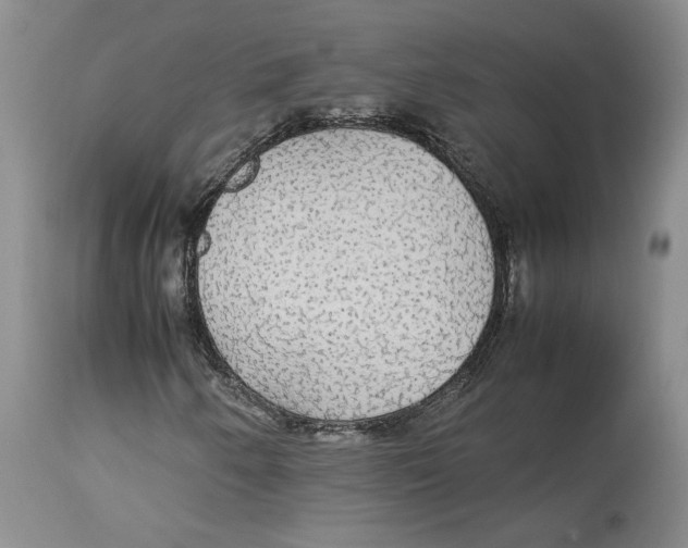 X0000114171250200911051520