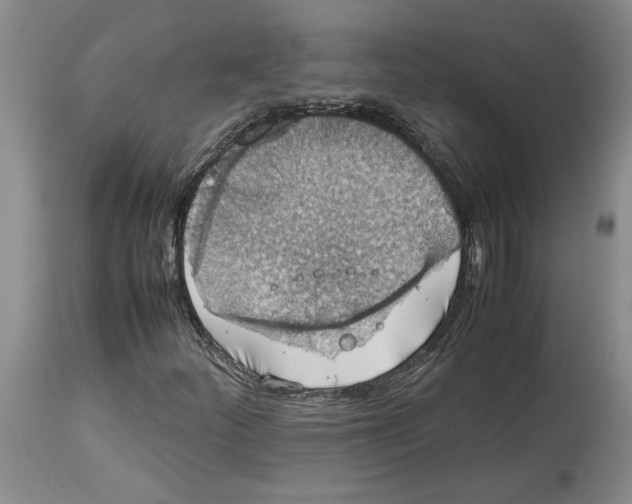 X0000114171252200911051520