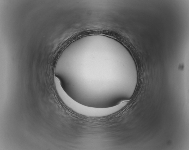 X0000114171253200911051520