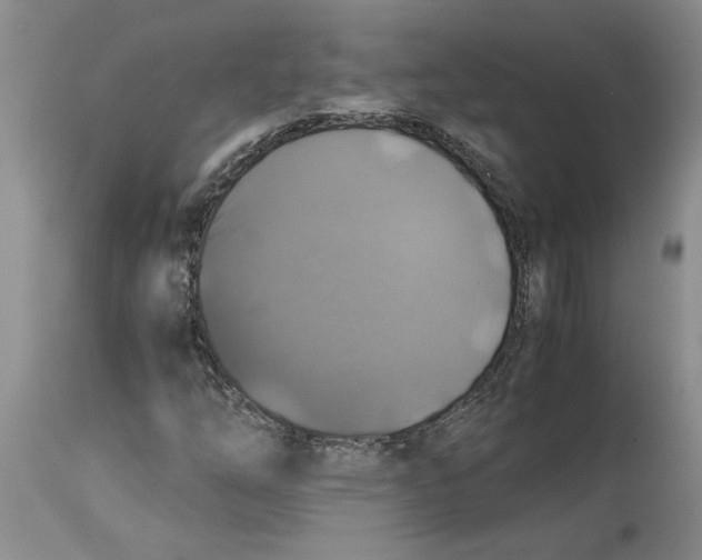 X0000114171254200911051520