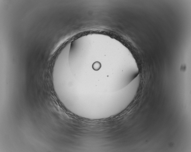 X0000114171256200911051520