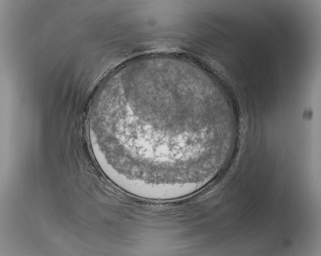 X0000114171257200911051520