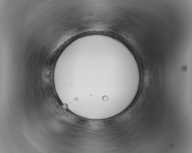 X0000114171258200911051520