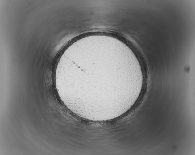 X0000114171259200911051520