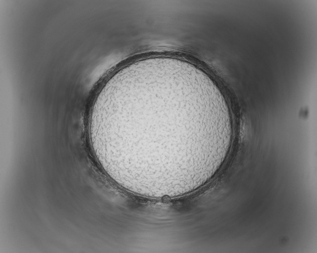 X0000114171261200911051520