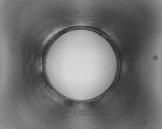 X0000114171262200911051519