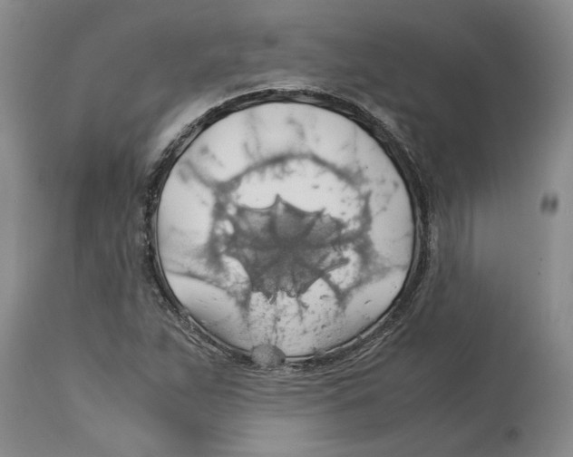 X0000114171263200911051519