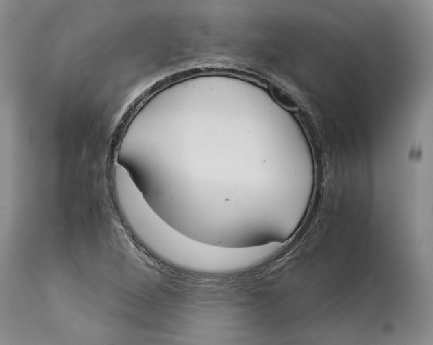 X0000114171264200911051519