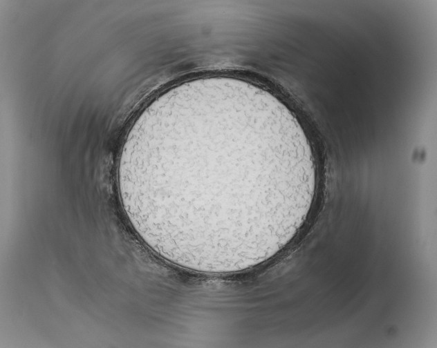 X0000114171265200911051519