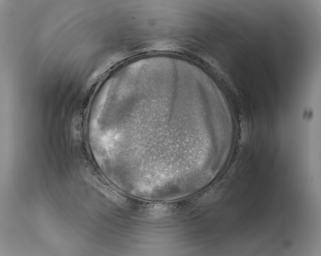 X0000114171266200911051519