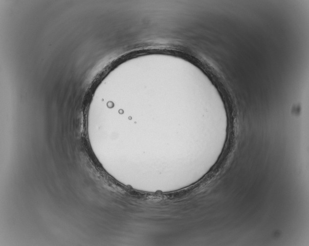 X0000114171267200911051519