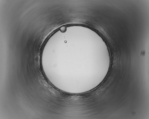 X0000114171268200911051519