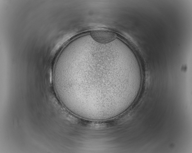 X0000114171269200911051519