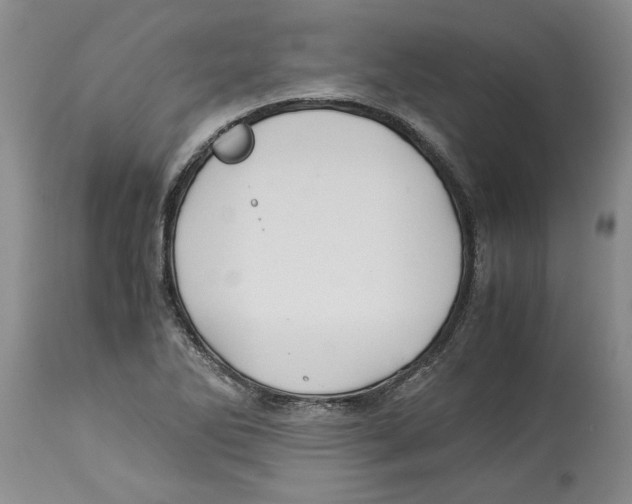 X0000114171270200911051519