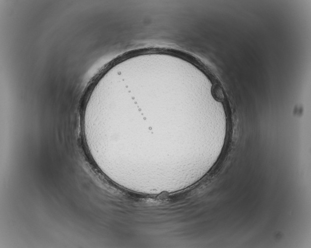 X0000114171271200911051519