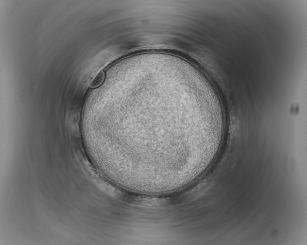 X0000114171273200911051519