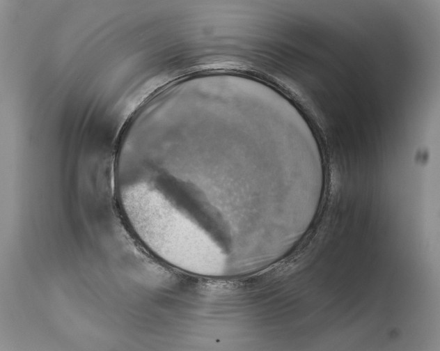 X0000114171274200911051519