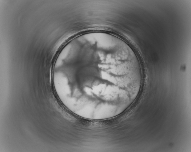 X0000114171275200911051519