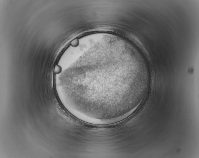 X0000114171276200911051519