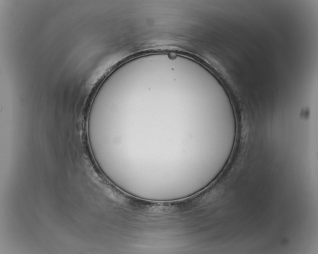 X0000114171277200911051519