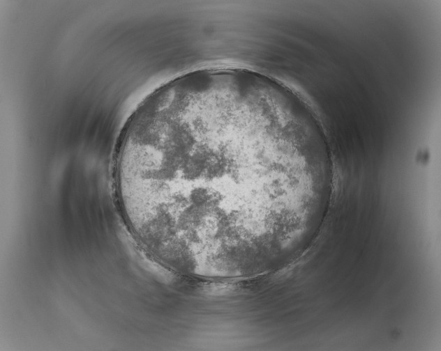 X0000114171278200911051519