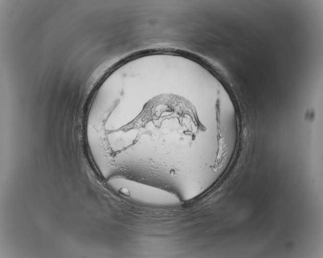 X0000114171279200911051519