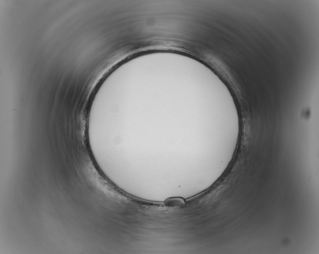 X0000114171284200911051519