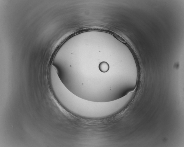 X0000114171285200911051519