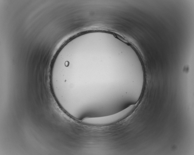 X0000114171288200911051519