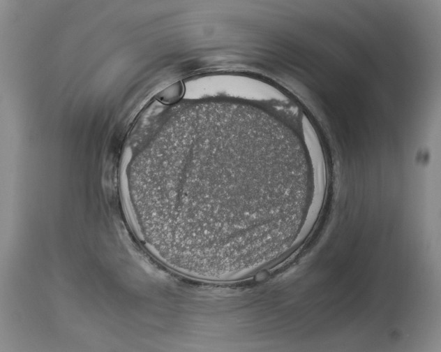 X0000114171289200911051519