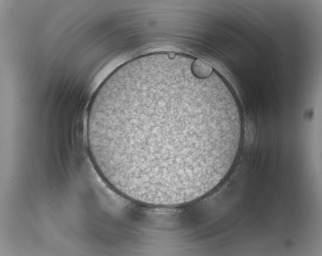 X0000114171290200911051519