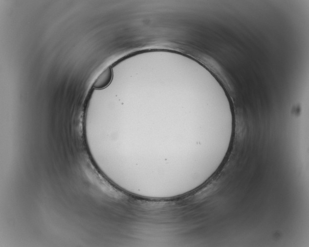 X0000114171292200911051519