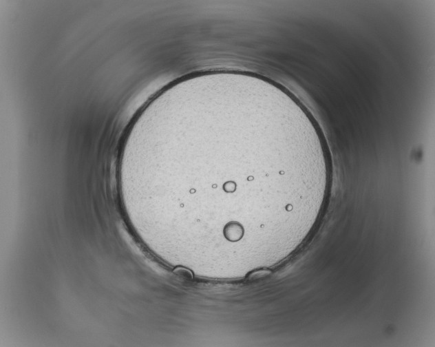 X0000114171293200911051519