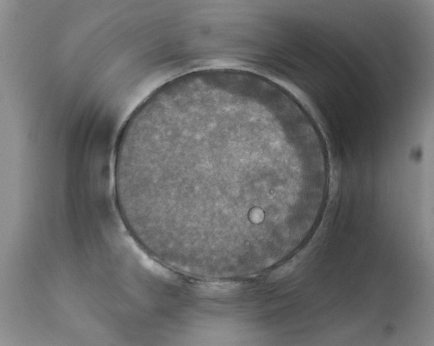 X0000114171294200911051519