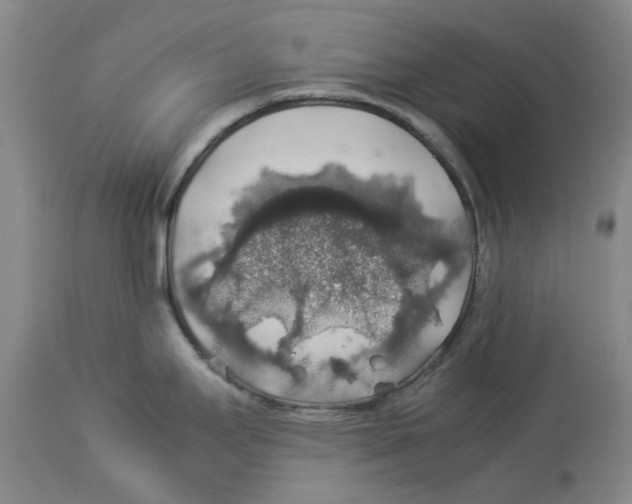 X0000114171295200911051519