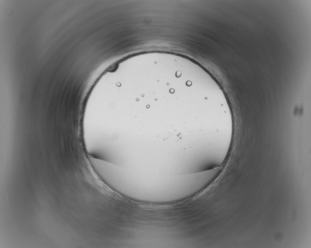 X0000114171296200911051519