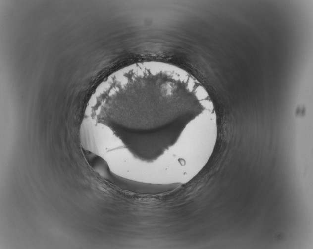 X0000114171297200911051518