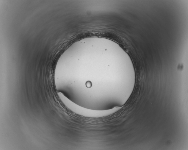 X0000114171298200911051518