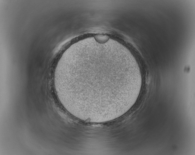 X0000114171304200911051518