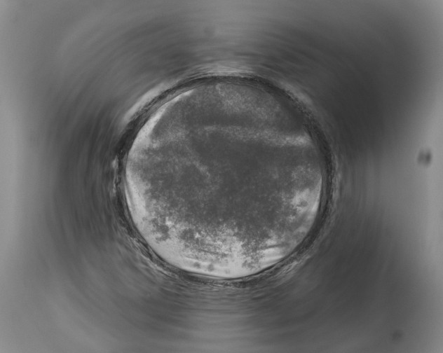 X0000114171306200911051518