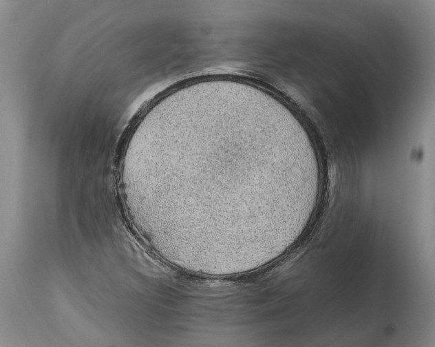 X0000114171308200911051519