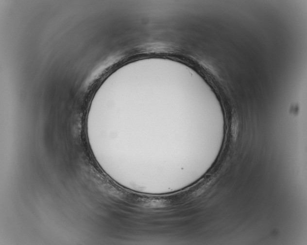 X0000114171309200911051519