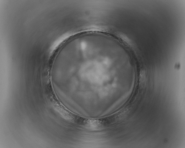 X0000114171310200911051519