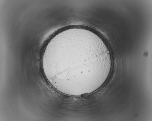 X0000114171311200911051519