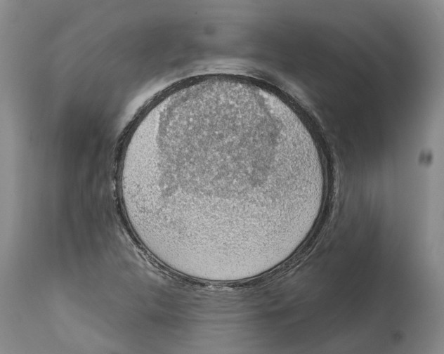 X0000114171312200911051519