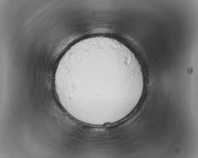 X0000114171313200911051519