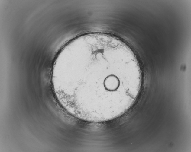 X0000114171314200911051519