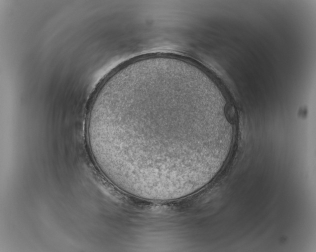 X0000114171316200911051519