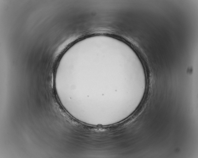 X0000114171317200911051519