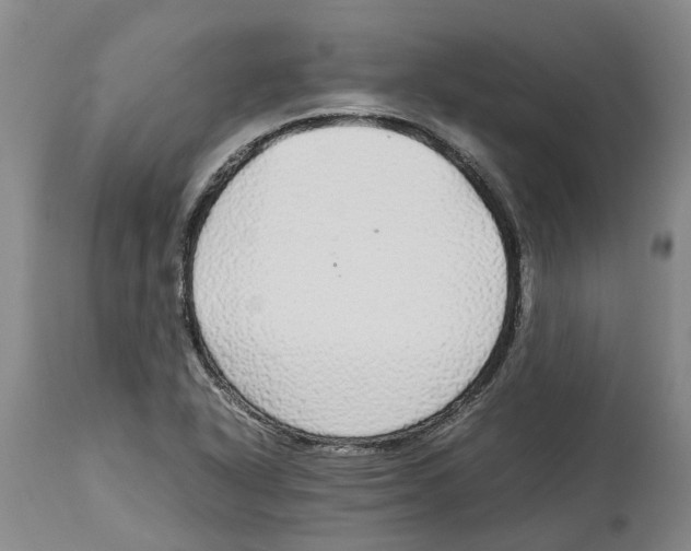 X0000114171318200911051519